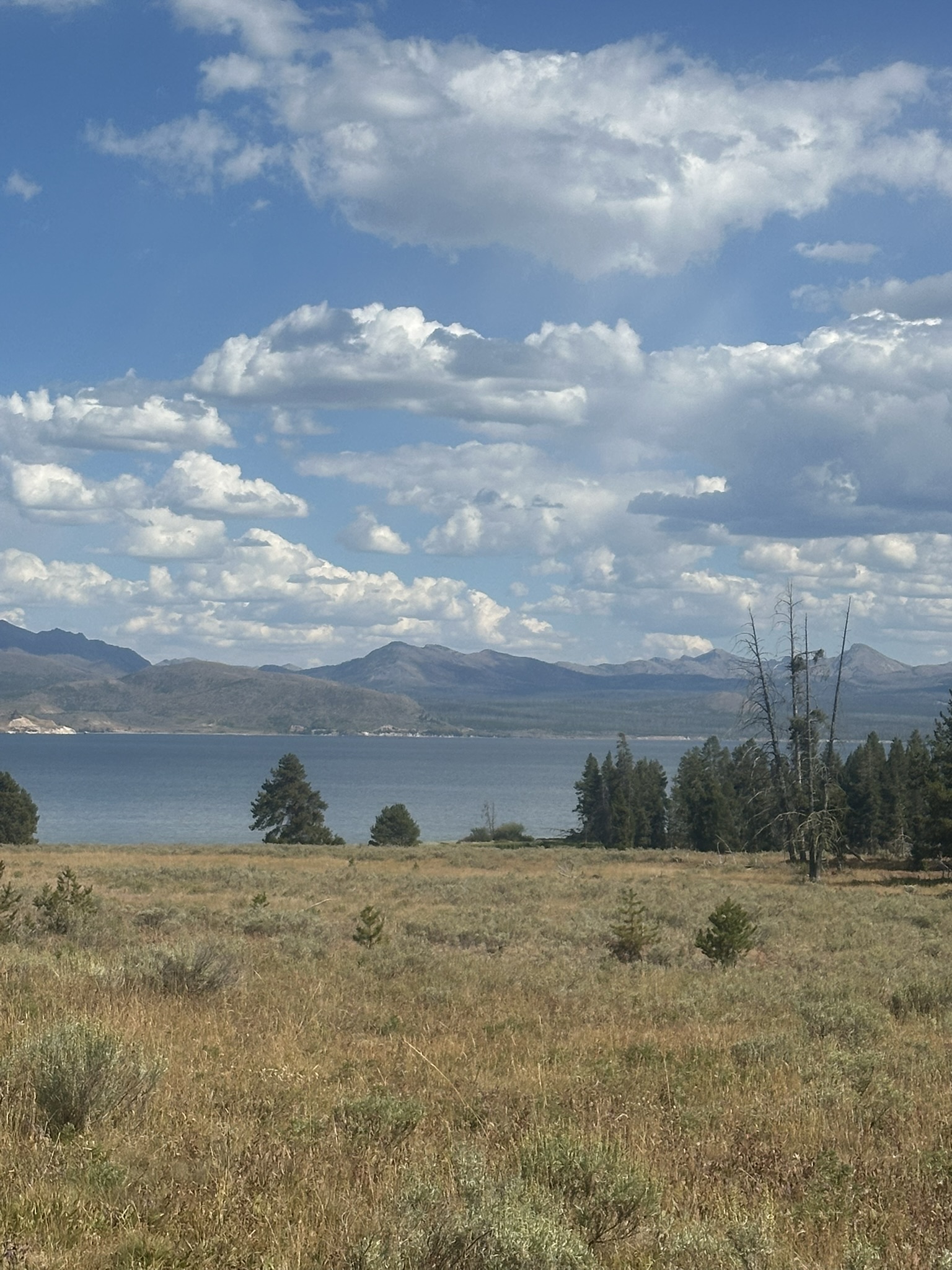 Yellowstone And Grand Teton National Parks - Image 1458